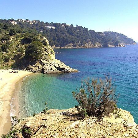 "Ti Sable" Agreable Studio Climatise, Jolie Vue Mer, Piscine A Cavalaire Sur Mer Golfe De St-Tropez Eksteriør bilde