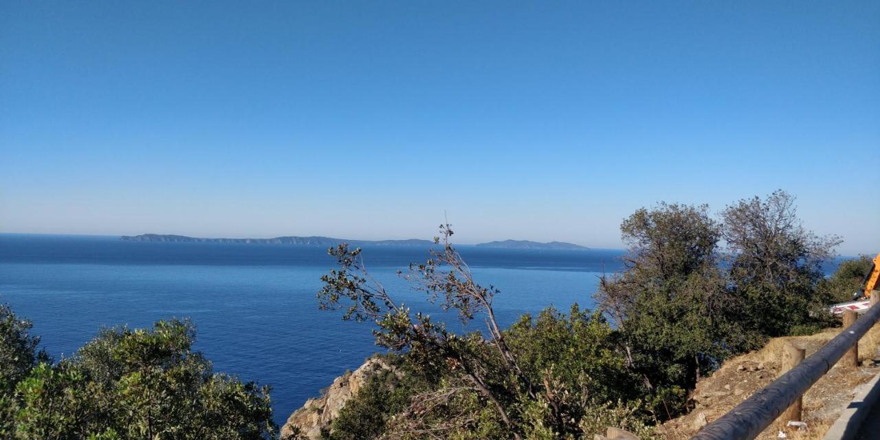 "Ti Sable" Agreable Studio Climatise, Jolie Vue Mer, Piscine A Cavalaire Sur Mer Golfe De St-Tropez Eksteriør bilde